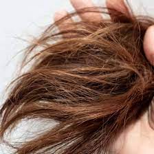 28. Treatment for Frizzy Hair: Practical Ways to Get Smooth, Controllable Hair